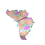 :butterfly: